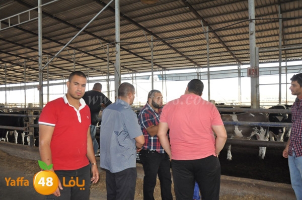 3ojojl shamal (4).JPG